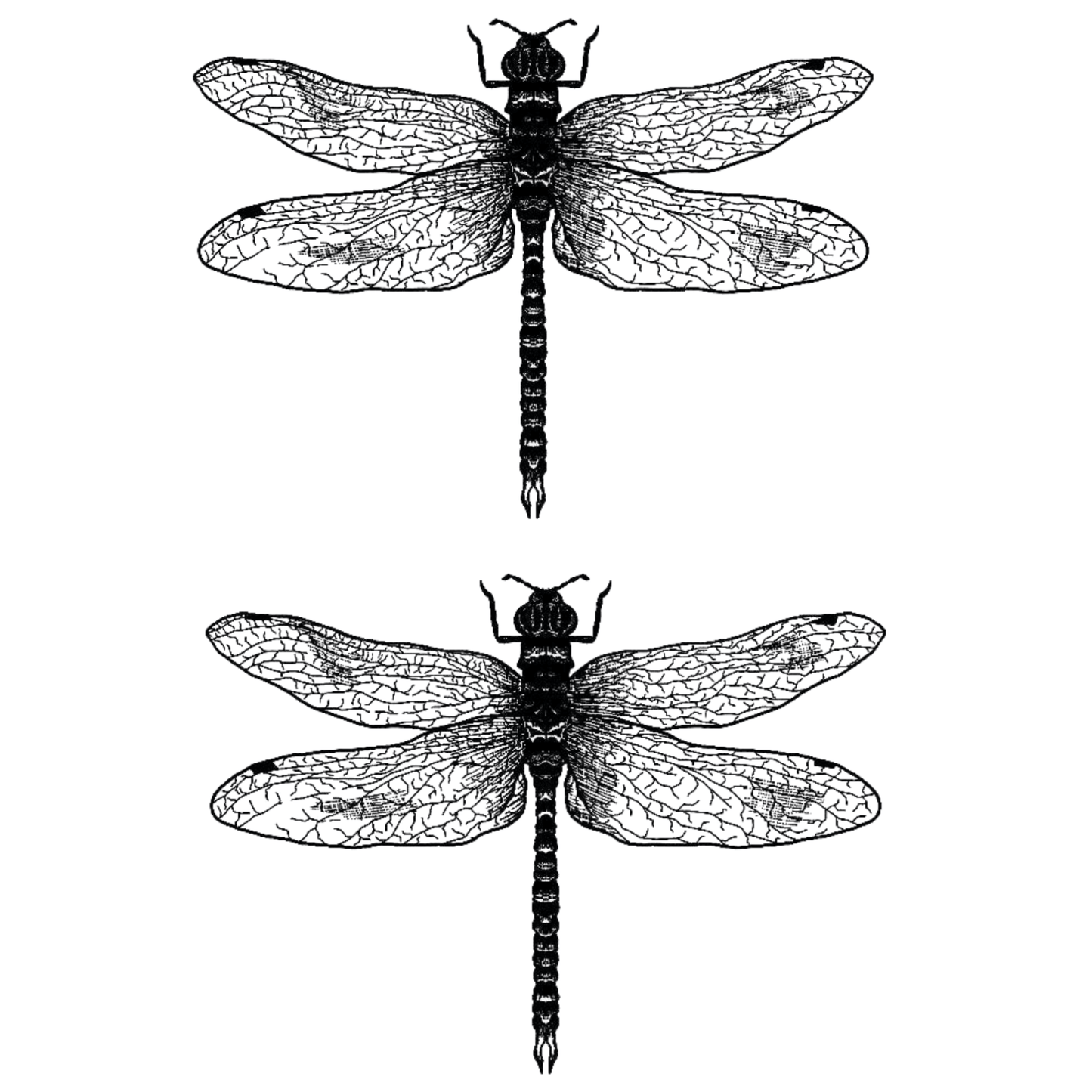 TeMaRo™ Dragonfly Tattoo on Thighs