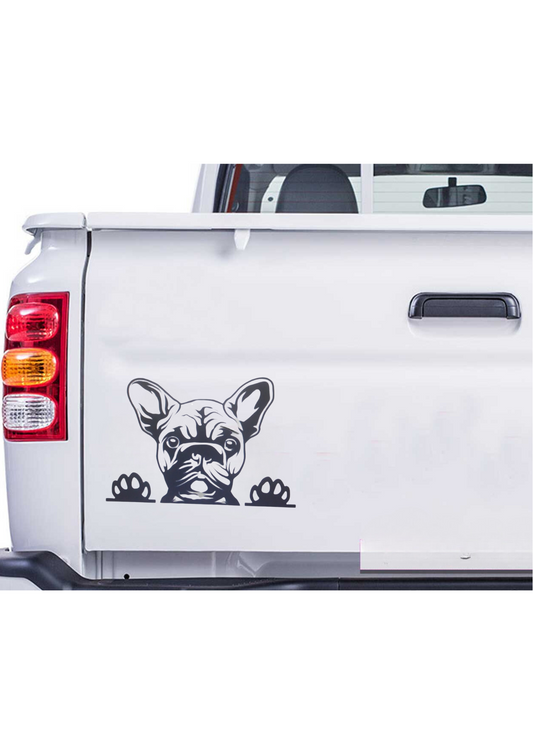 Cute 🥰 Vinyl Car Decals