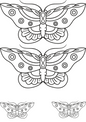 Temporary Tattoos Butterfly