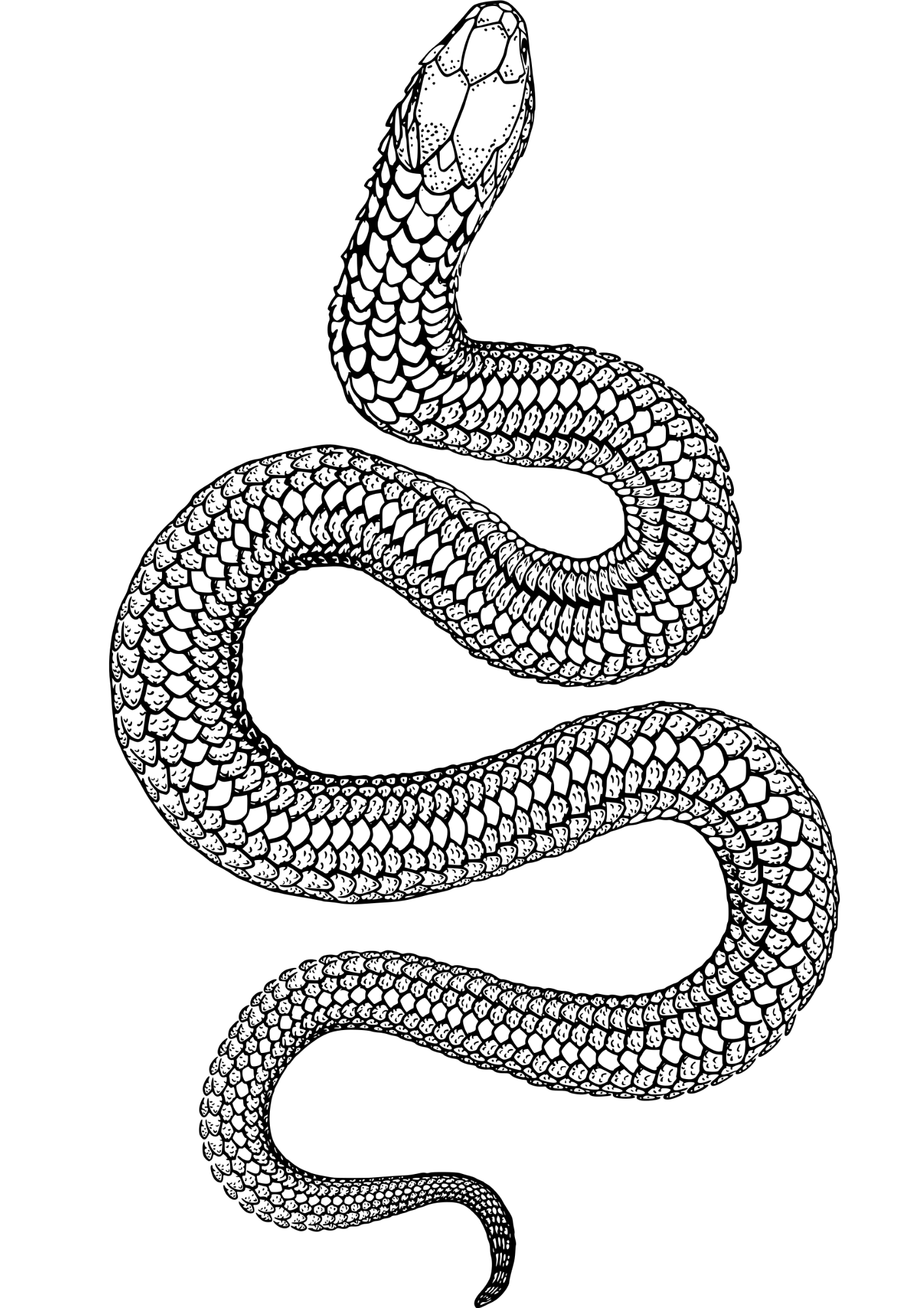 Snake Waterproof Temporary Tattoo Stickers Near Me