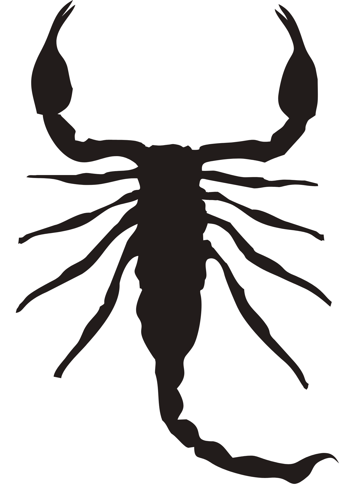 Scorpion Temporary Stickon Tattoos