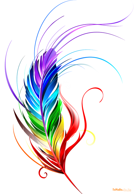 Rainbow Feather Tattoo