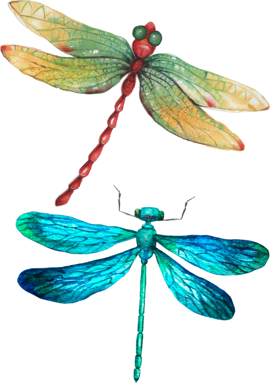 Dragonfly Tattoo Stickers