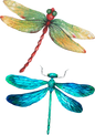 Dragonfly Tattoo Stickers