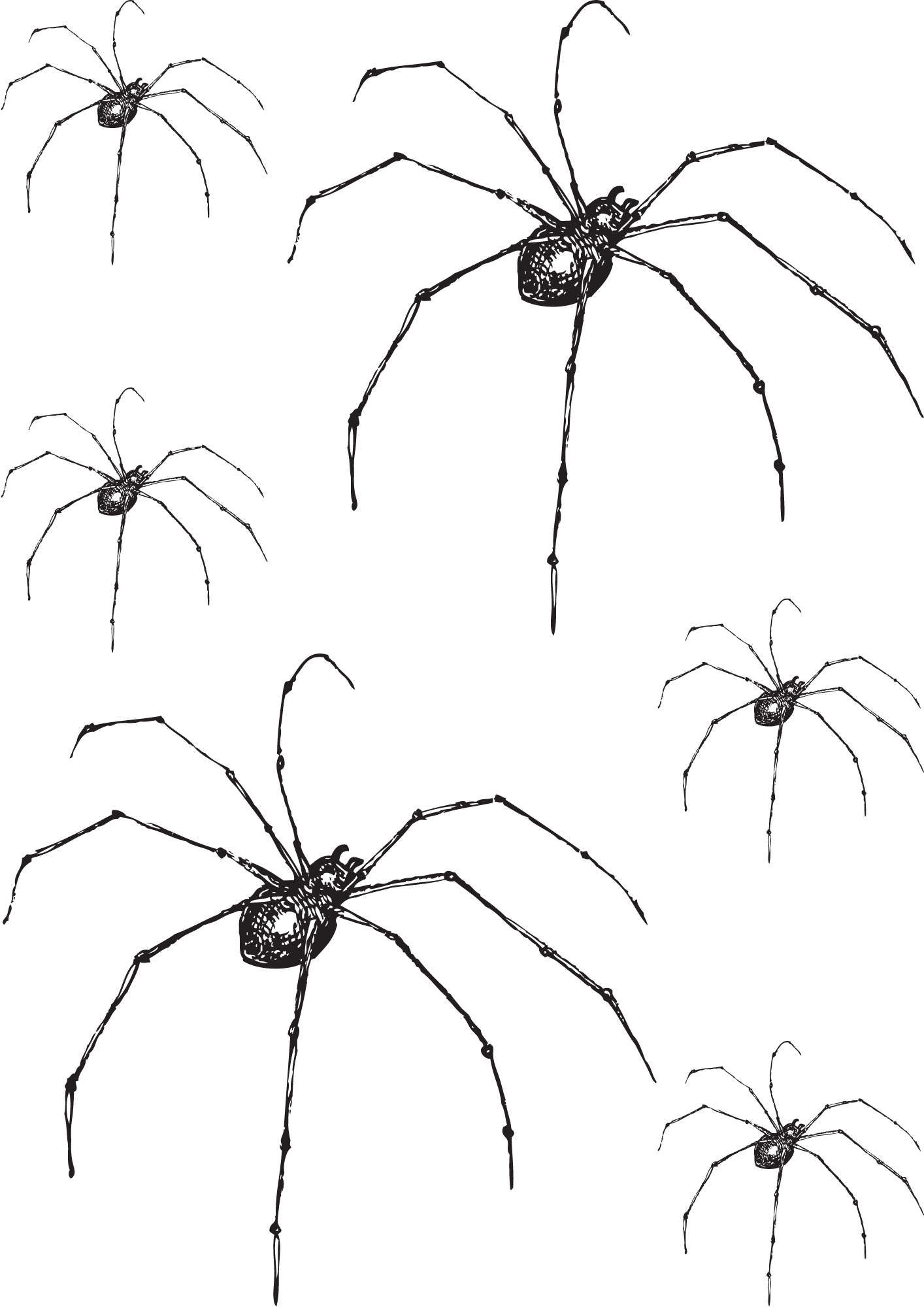 Halloween Spider Temporary Tattoos