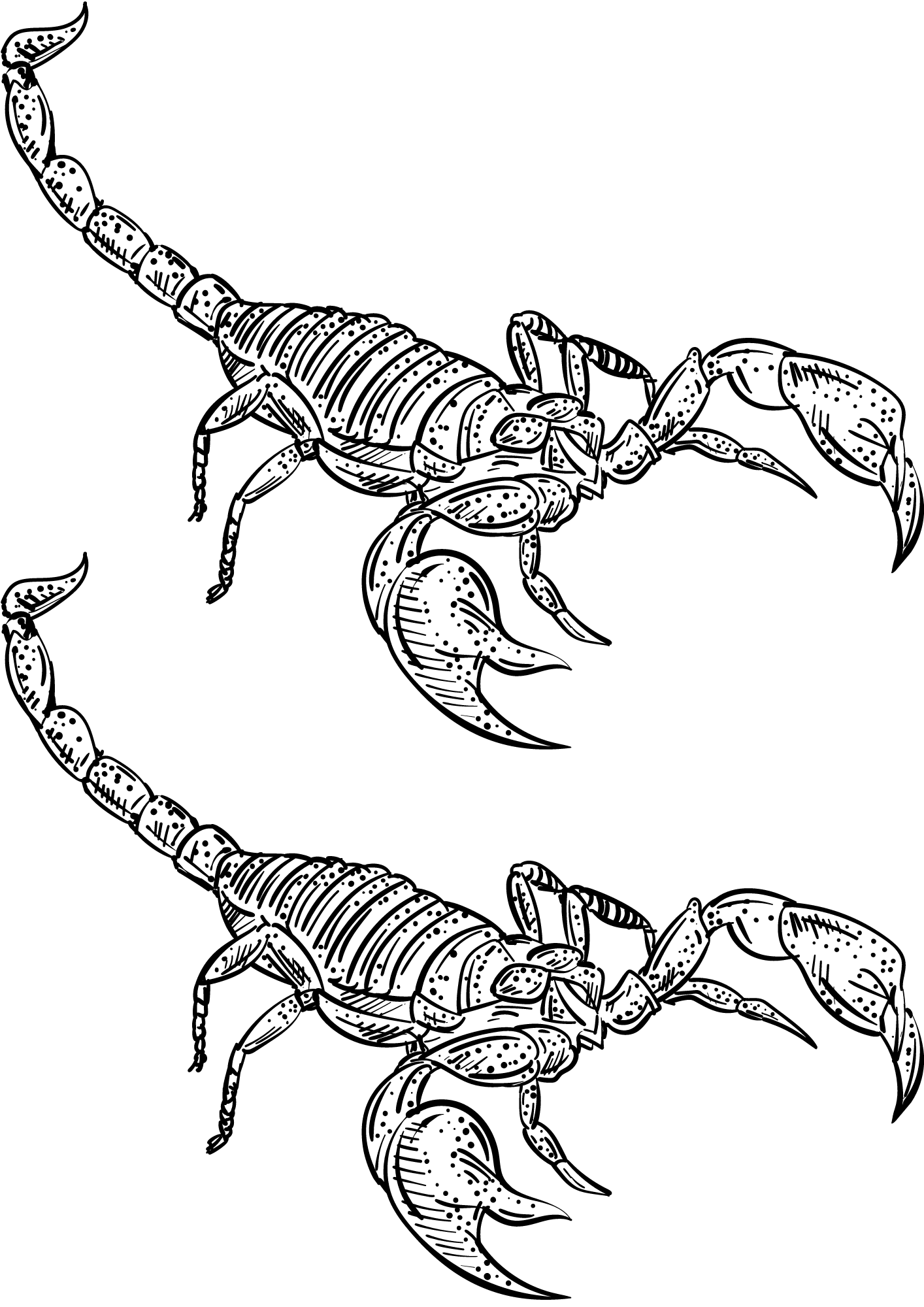 Scorpion Tattoo s Quality Designs