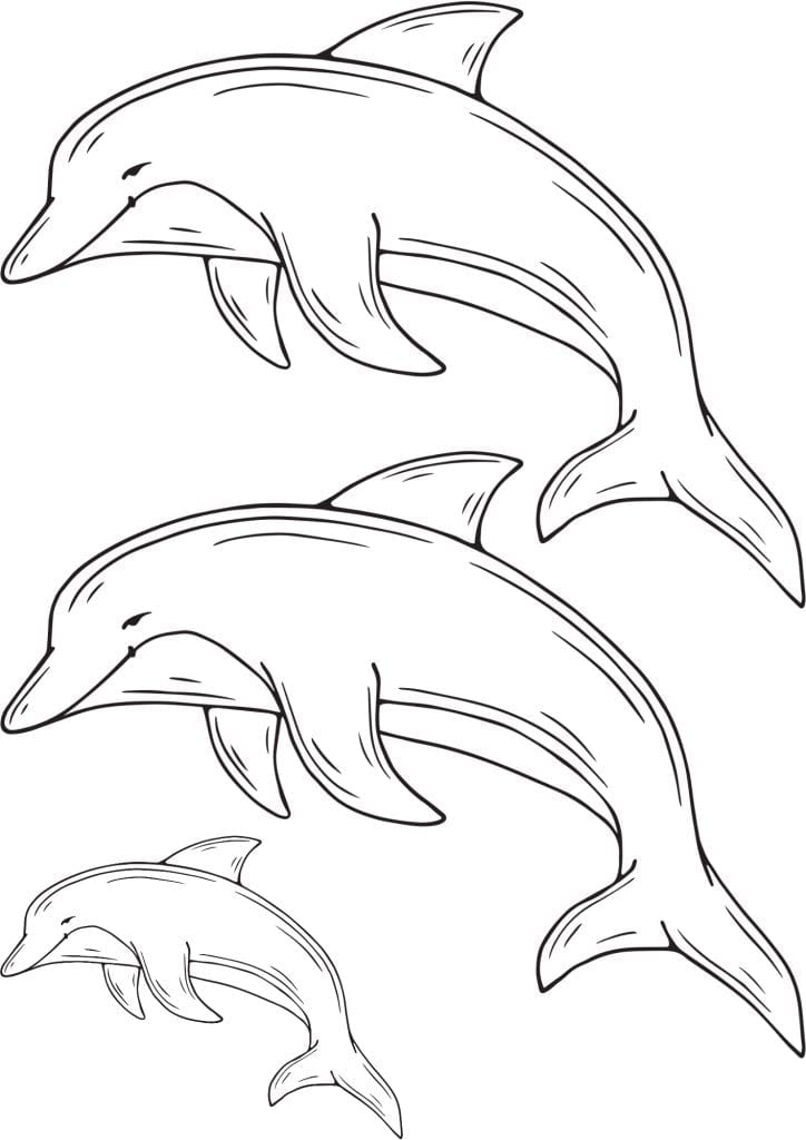 Amazing Flash Tattoos - Dolphin - TeMaRo™