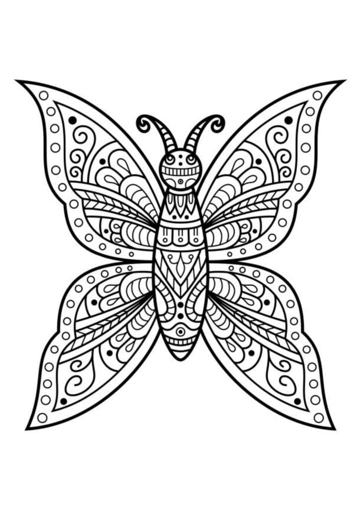 Arm Tattoo Design - Butterfly - TeMaRo™