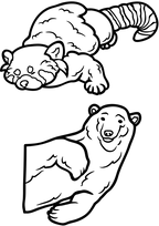 Bear Tattoos South Africa Prices - TeMaRo™ 🇿🇦