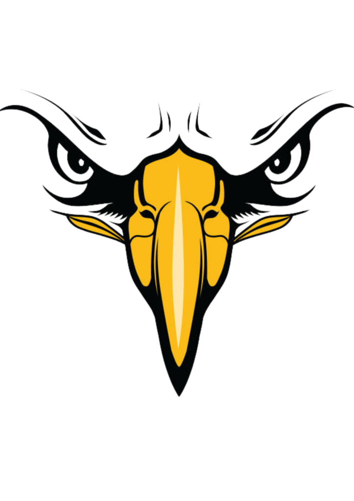 Chest Tattoo Eagle - Eyes - TeMaRo™