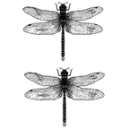 Dragonfly Tattoo on Thighs - TeMaRo™