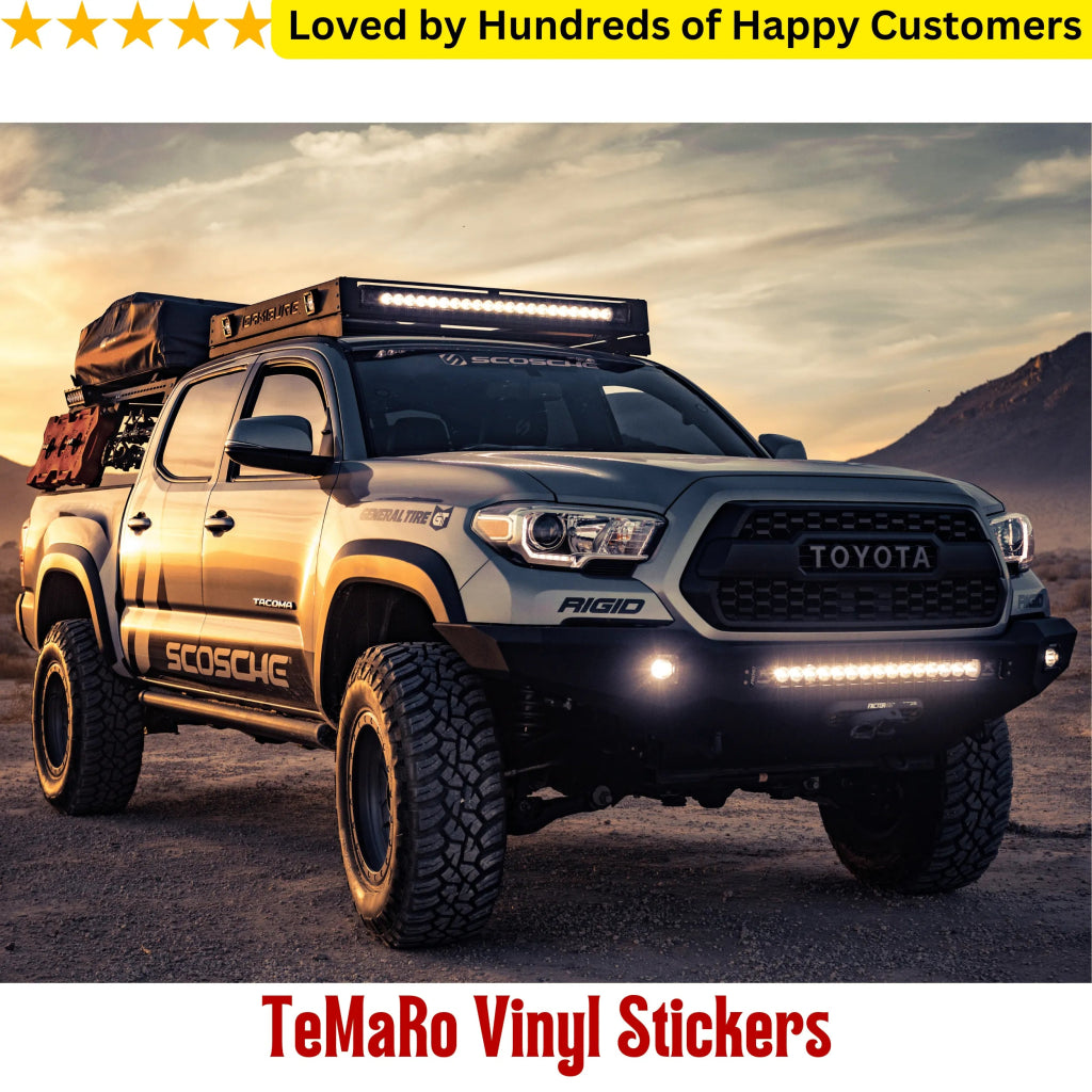 Elevate Your Brand with Custom Printing of Stickers - TeMaRo™