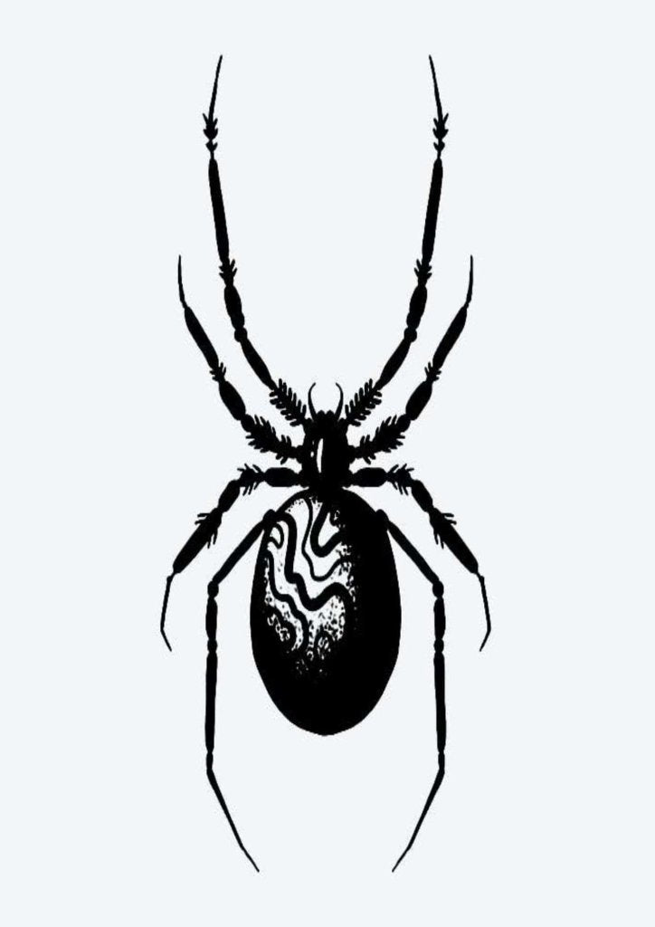 Ephemeral Neck Tattoos Ladies - TeMaRo™