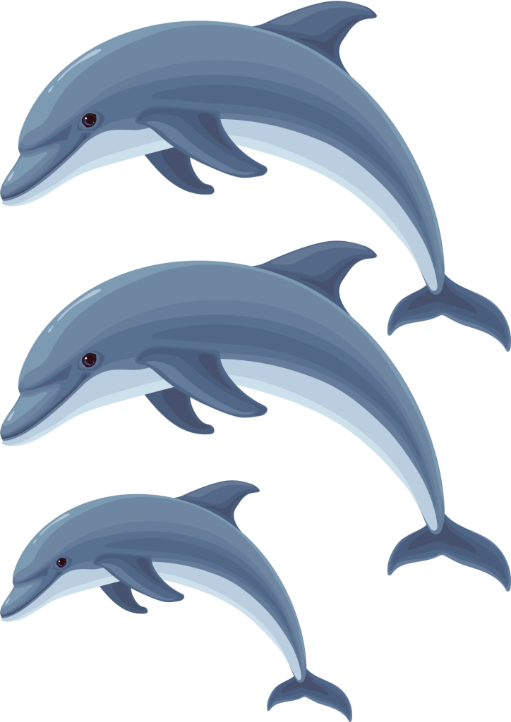 Fake Tattoos Pretoria with Dolphin - TeMaRo™ 🇿🇦