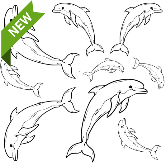 Dolphin Tattoo for Guys