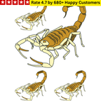 Fake Tattoos Stickers - TeMaRo™