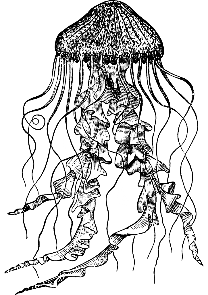 Jellyfish Leg Tattoos - TeMaRo™