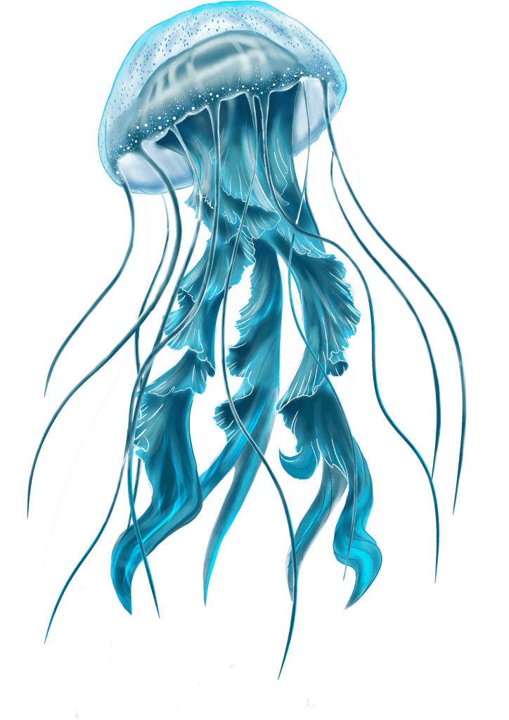 Jellyfish Tattoos for Men - TeMaRo™