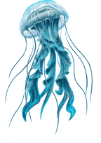 Jellyfish Tattoos for Men - TeMaRo™