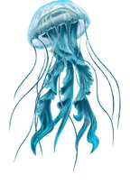 Jellyfish Tattoos for Men - TeMaRo™