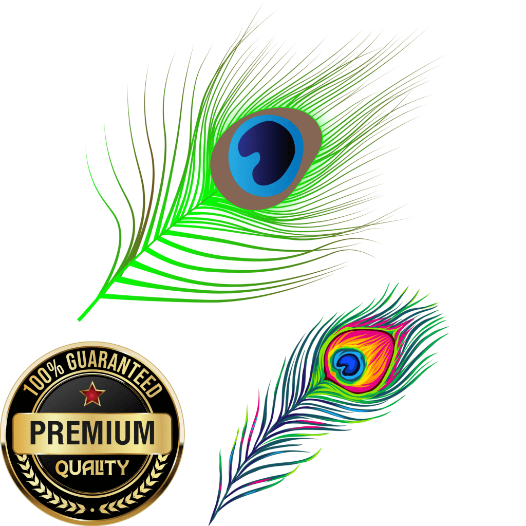 Non Permanent Feather Tattoo Peacock - TeMaRo™ 🇿🇦