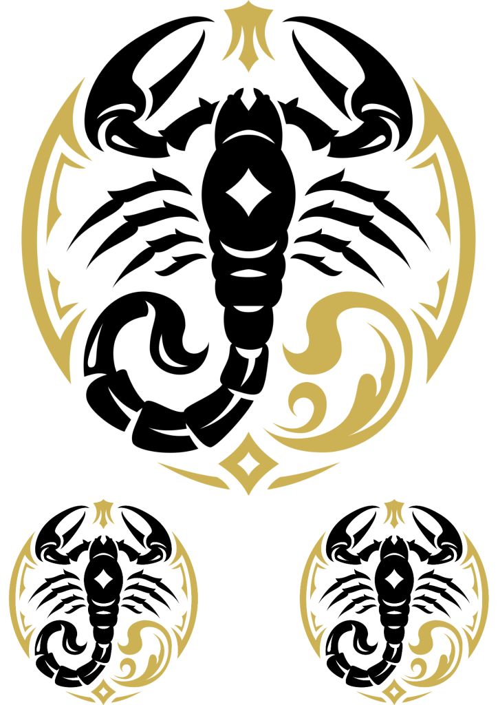 Scorpion Couples Matching Tattoos - TeMaRo™