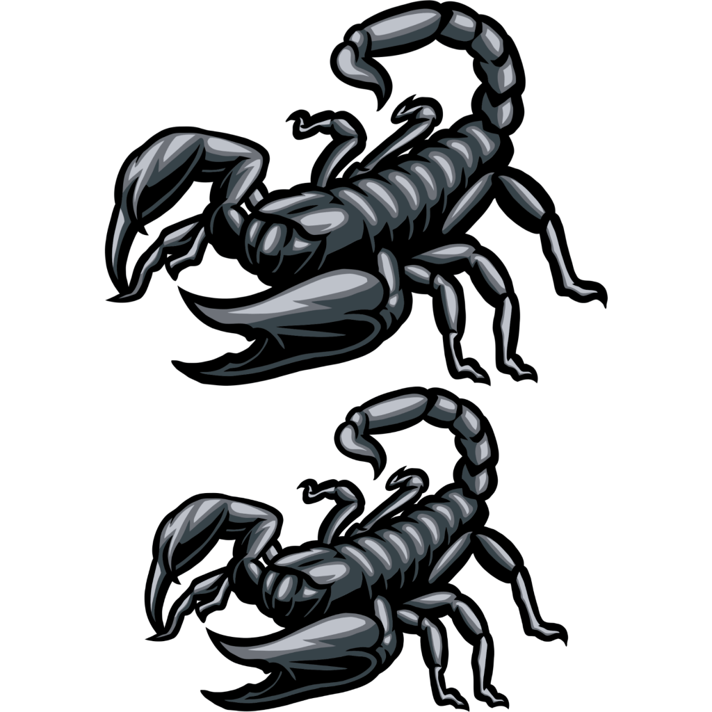 Scorpion Tattoo: Stand Out from the Rest at TeMaRo™ - TeMaRo™