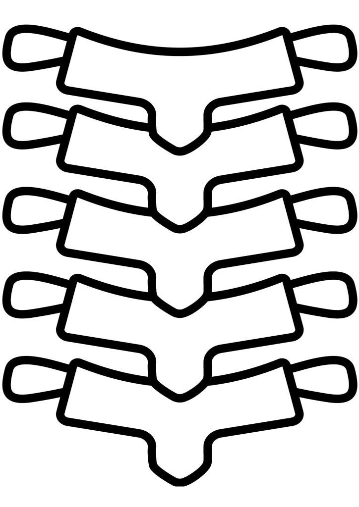 Spine Tattoos Females - TeMaRo™