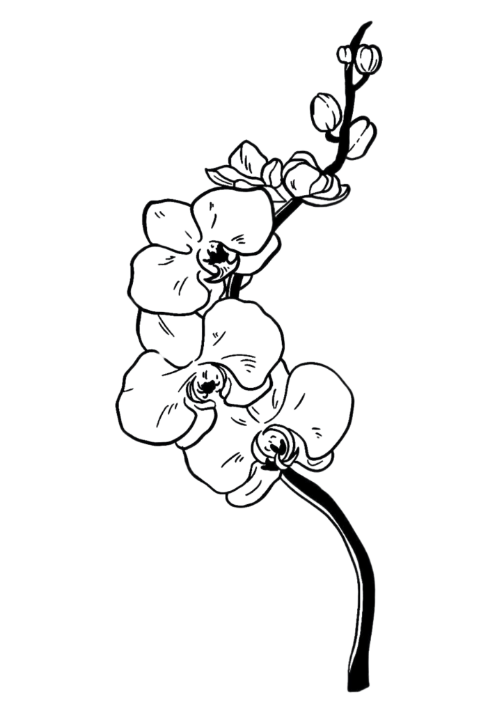 Tattoo Pretoria - Floral Temporary Tattoo - TeMaRo™