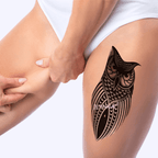TeMaRo 21cm X 15cm (Not an A4 size) Tattoo Sticker Bird - Effortless Owl Design