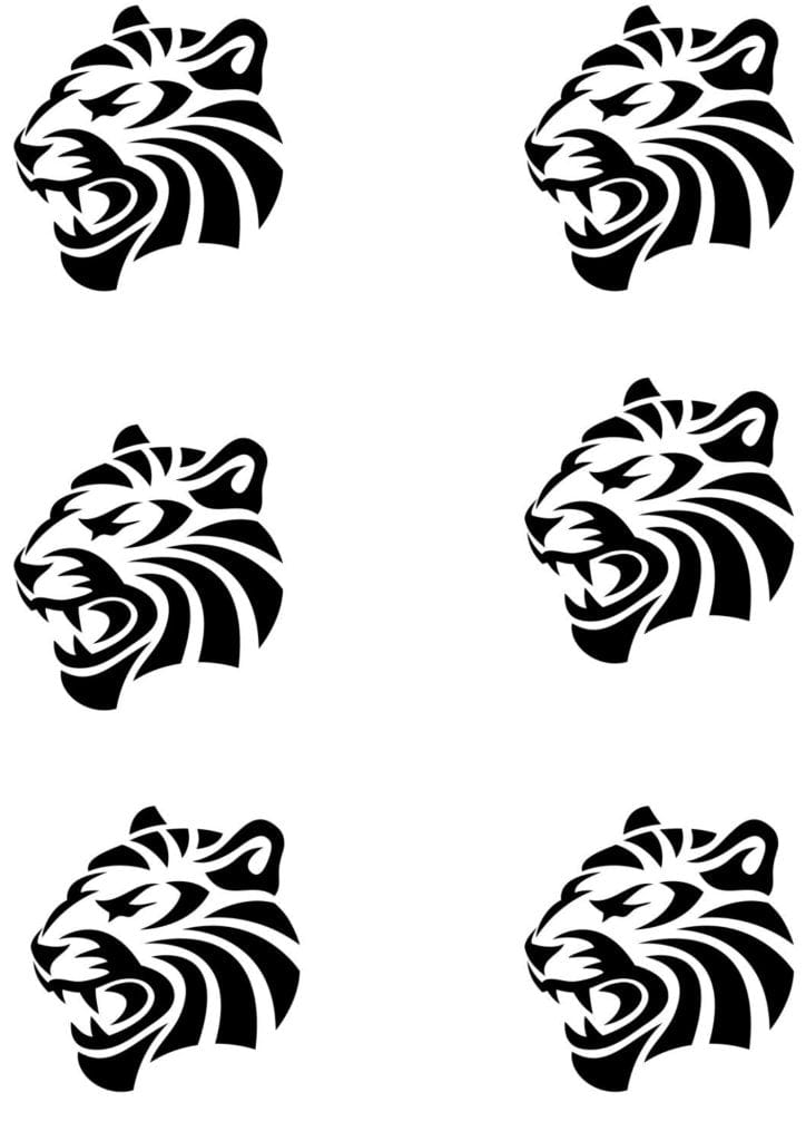 TeMaRo™ Arm Tattoos Small - Tiger 6 Pack