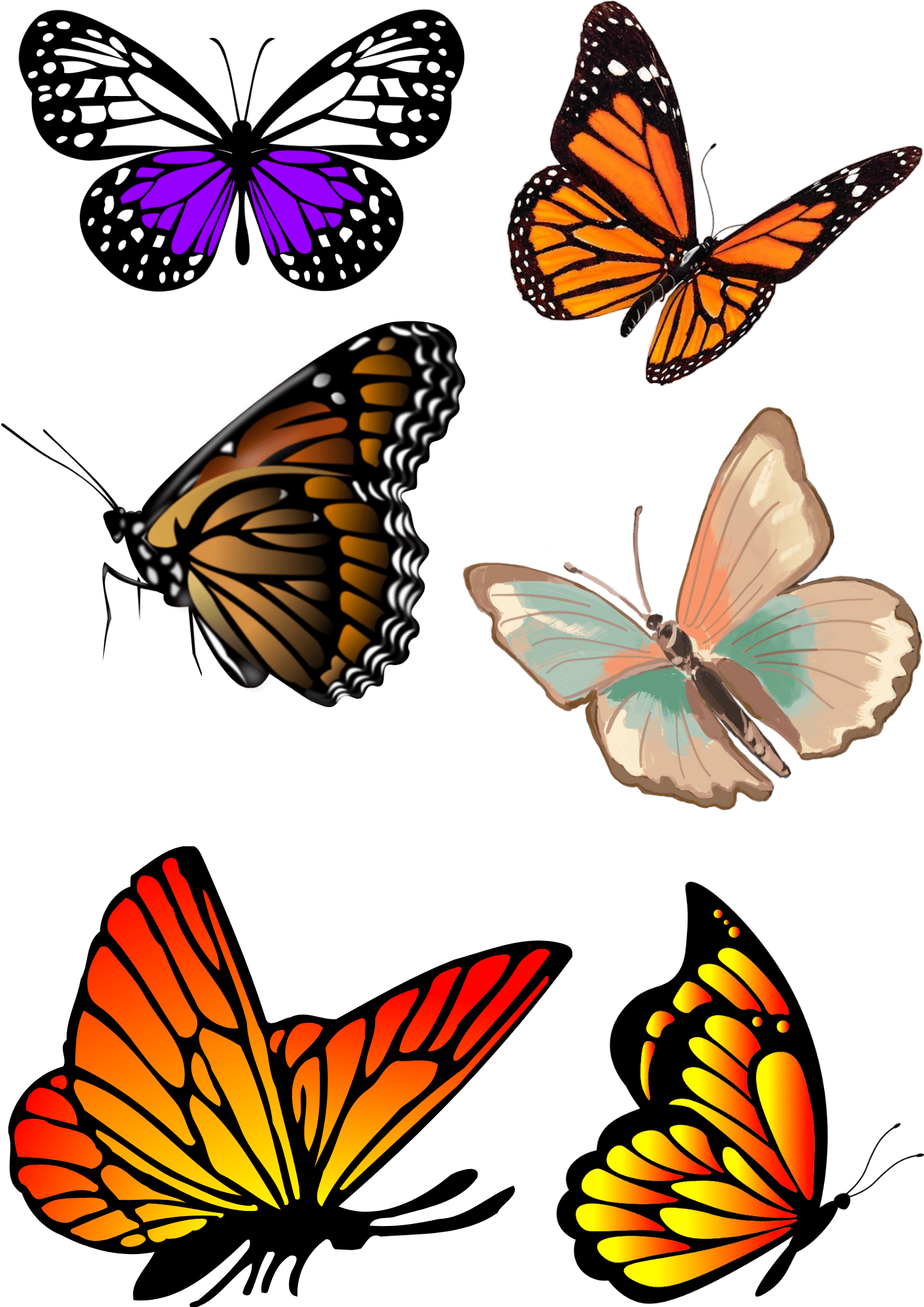 TeMaRo™ Butterfly Tattoos for Women