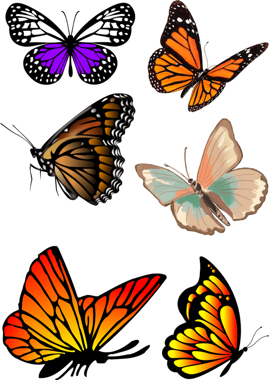 TeMaRo™ Butterfly Tattoos for Women