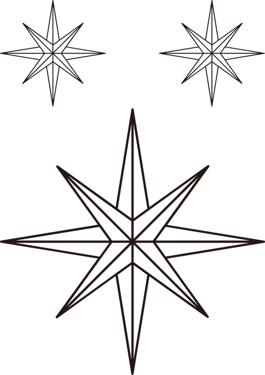 TeMaRo™ Celestial Star Foot Tattoo for Ladies