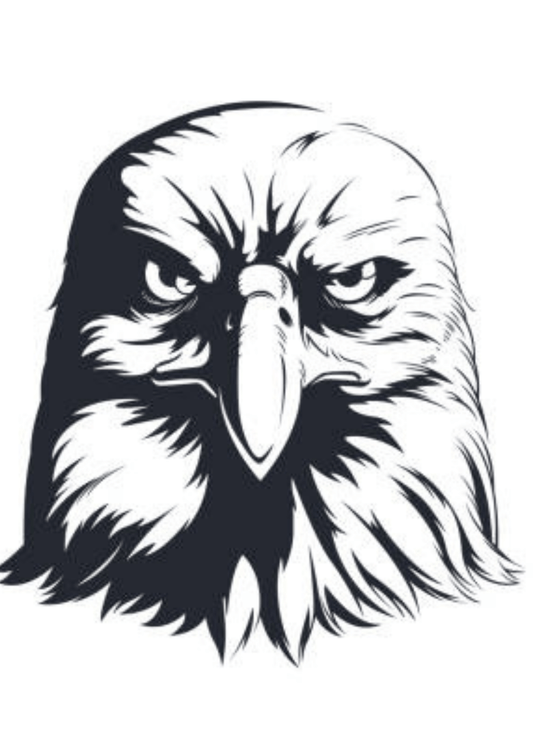 TeMaRo™ Chest Tattoos Eagle