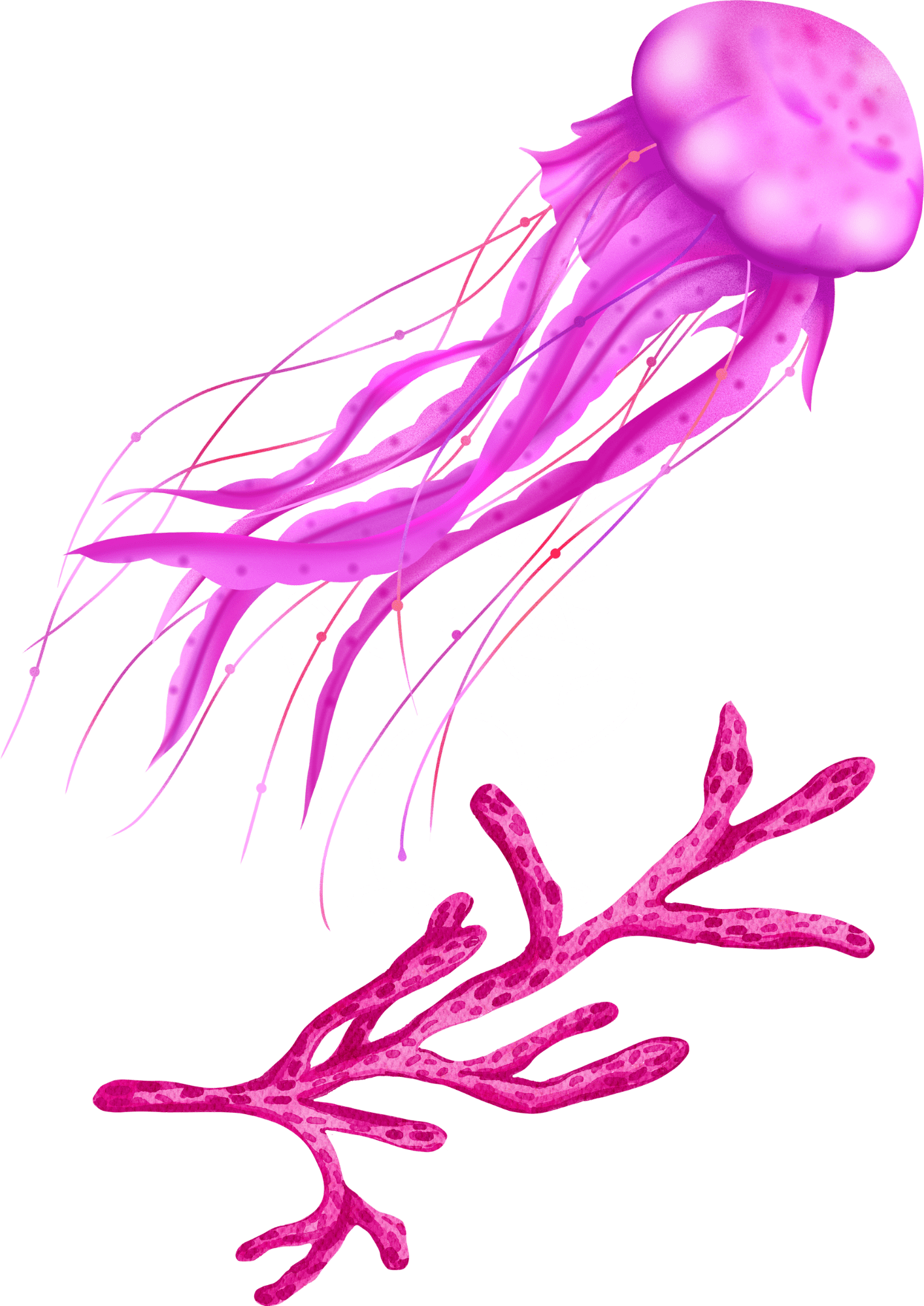 TeMaRo™ Custom Stick On Tattoos - Jellyfish