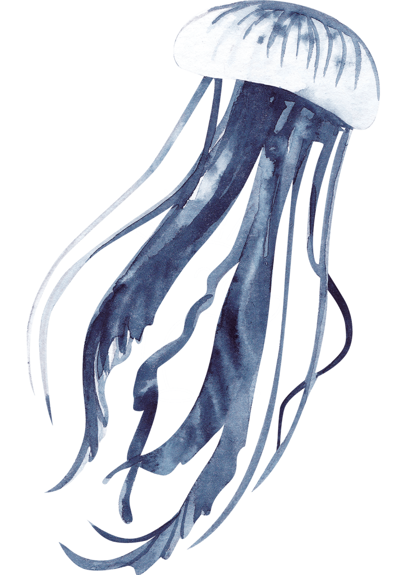TeMaRo™ Customize Fake Tattoos Jellyfish