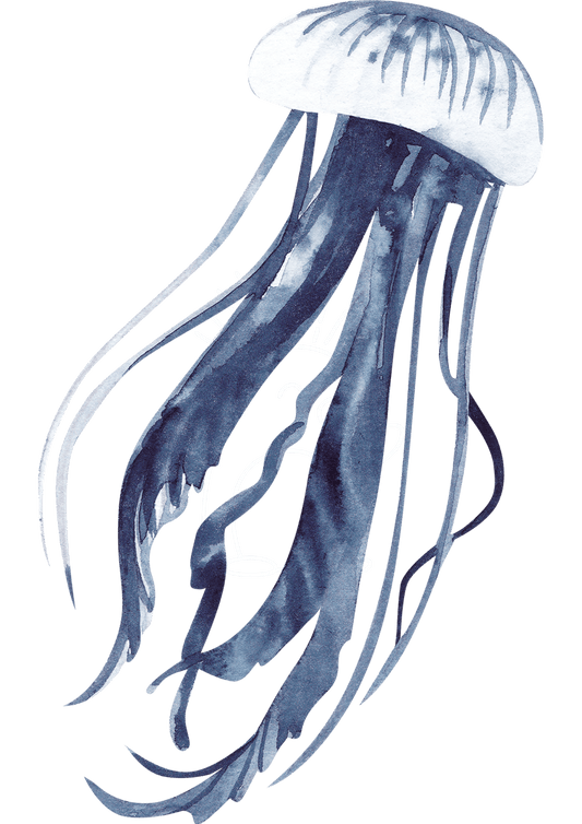 TeMaRo™ Customize Fake Tattoos Jellyfish