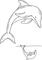 TeMaRo™ Dolphin Tattoo Male