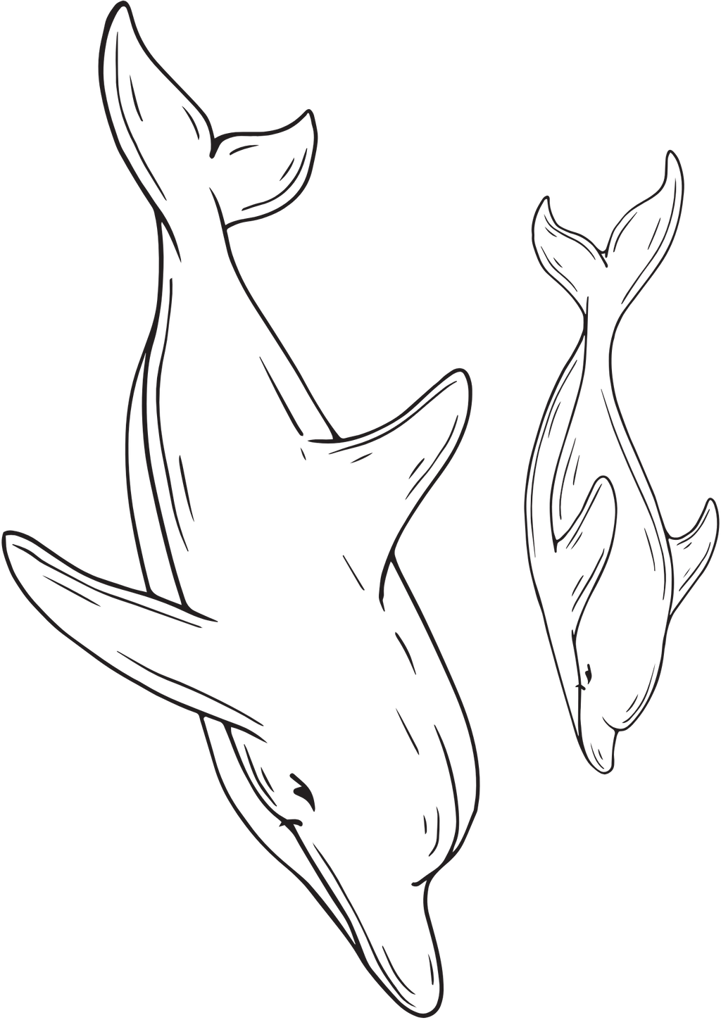 TeMaRo™ Dolphin Tattoos for Females