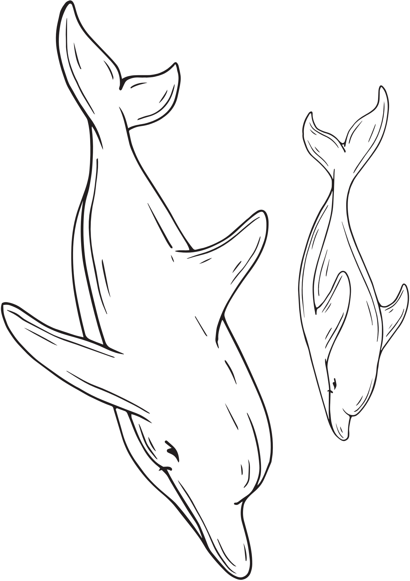 TeMaRo™ Dolphin Tattoos for Females