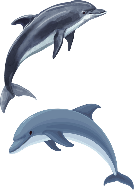 TeMaRo™ Dolphin Tattoos for Guys