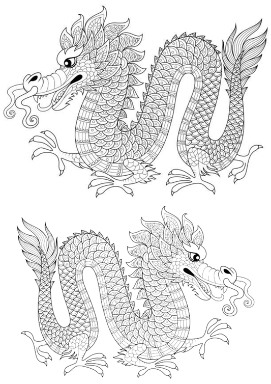 TeMaRo™ Dragon Tattoo Patterns