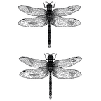TeMaRo™ Dragonfly Tattoo on Thighs