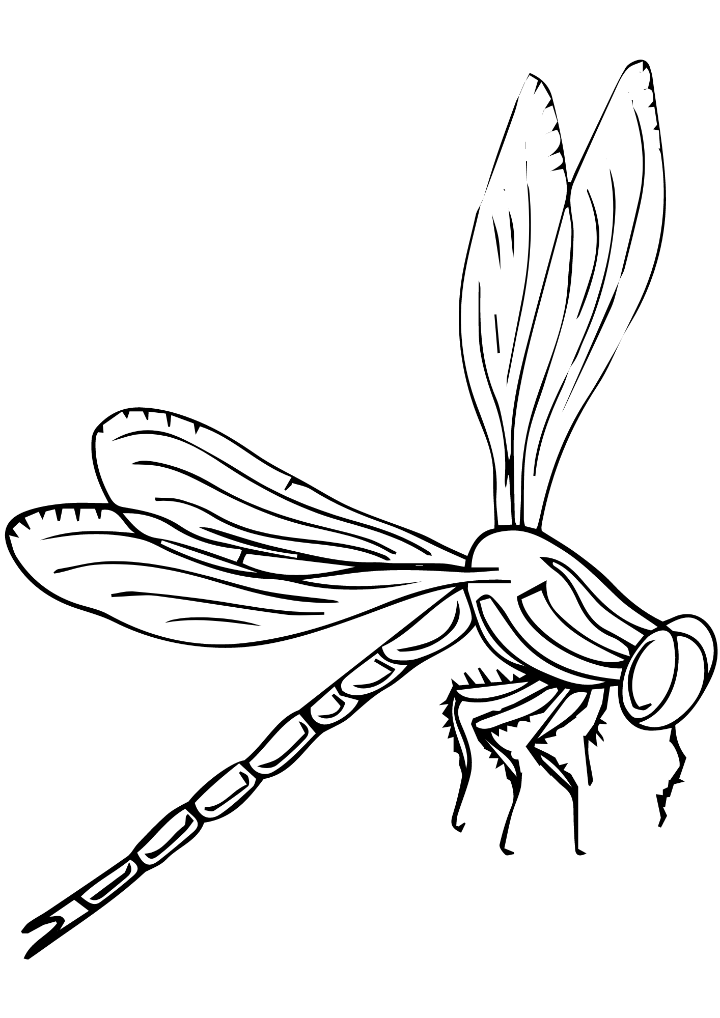 TeMaRo™ Dragonfly Tattoo Small