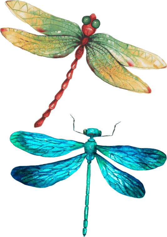 TeMaRo™ Dragonfly Tattoo Stickers