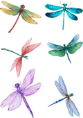 TeMaRo™ Dragonfly Tattoo Temporary