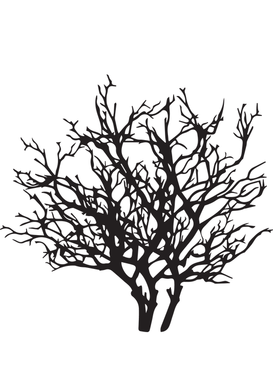 TeMaRo™ Dry twigs tattoo designs