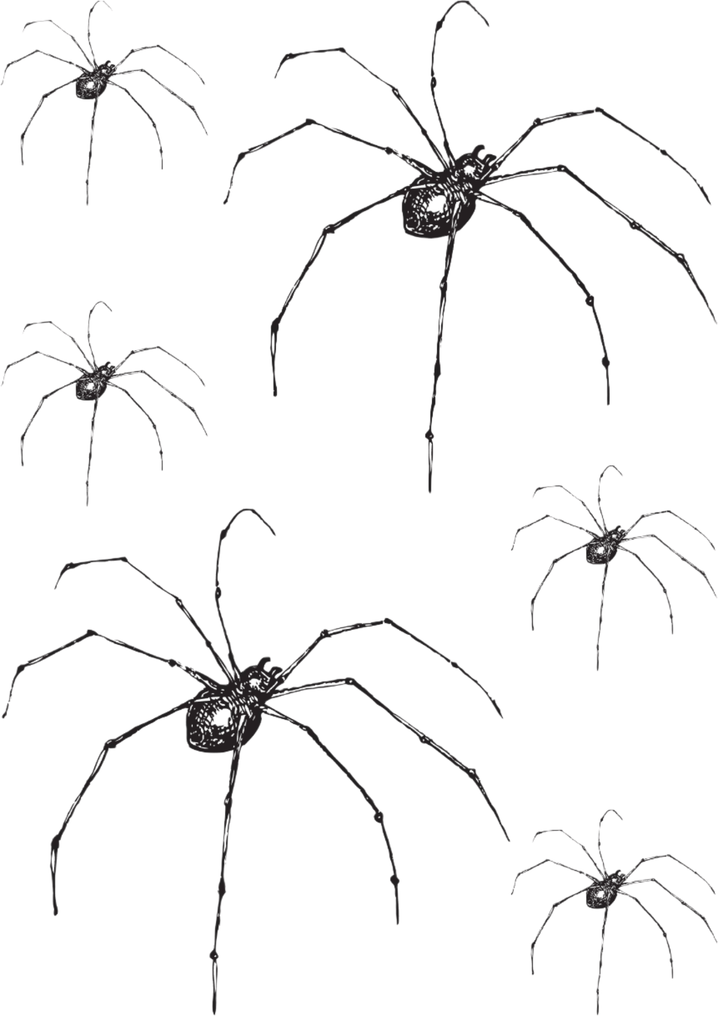 TeMaRo™ Halloween Spider Temporary Tattoos