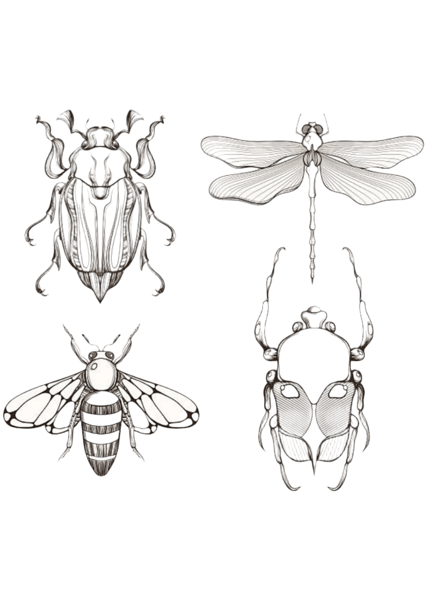 TeMaRo™ Insects Tattoo